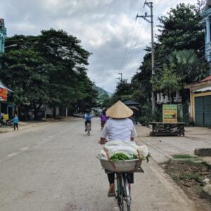 5 hours consultation